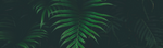 Load image into Gallery viewer, test product new