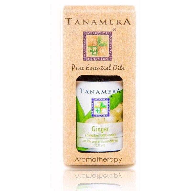 Essential Oil: Ginger (10 mL) - Eco Ummah
