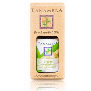 Essential Oil: Ginger (10 mL) - Eco Ummah