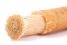 Miswak Raw Toothbrush with Holder - Eco Ummah
