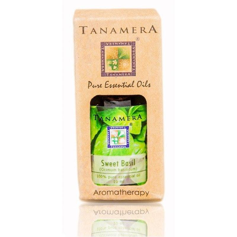 Essential Oil: Sweet Basil (10 mL) - Eco Ummah