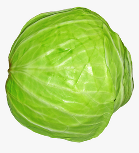 Cabbage